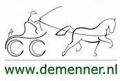 Logo de Menner Logo de Menner